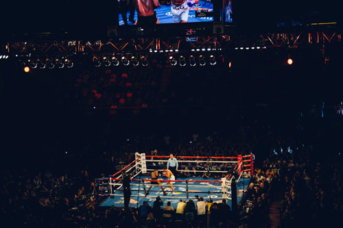 Fighting